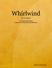 whirlwind graphic.jpg